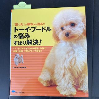 ト－イ・プ－ドルの悩みずばり解決！ 『困った』が根本から治る！！(住まい/暮らし/子育て)