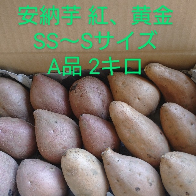 安納芋紅 黄金SS～Sサイズ 2キロ 食品/飲料/酒の食品(野菜)の商品写真