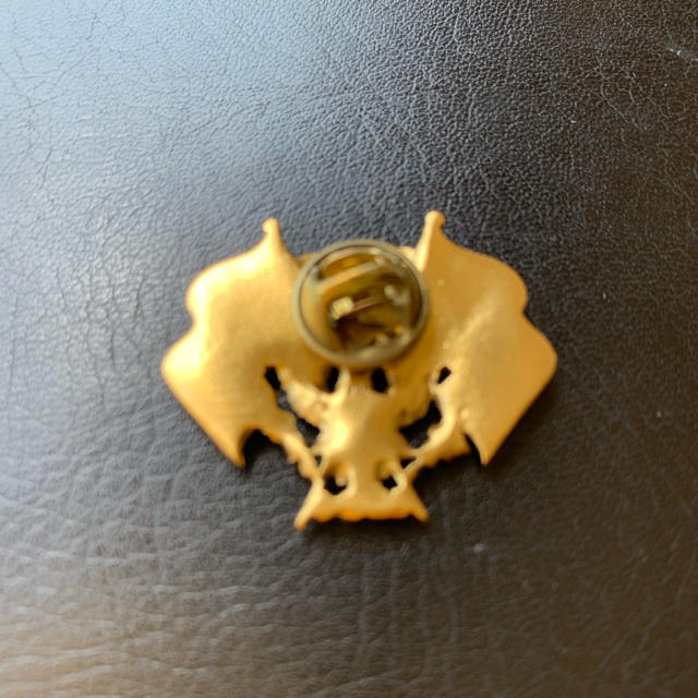 USGA / Member Lapel pin 1