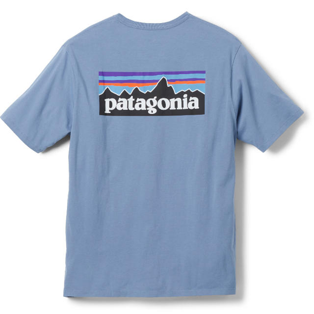 パタゴニア Tシャツ ブルー  Sサイズ