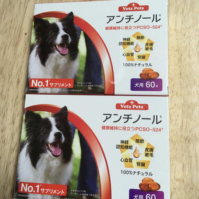 アンチノール犬用60粒　2箱セット