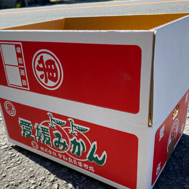 愛媛　最上級品　宇和ゴールド紅　3.5Kg   美生柑　河内晩柑　みかん 食品/飲料/酒の食品(フルーツ)の商品写真