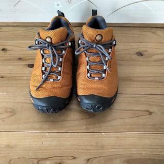 メレル(MERRELL)のMERRELL　 カメレオン3 モンスーン(スニーカー)