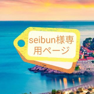 seibun様専用(その他)