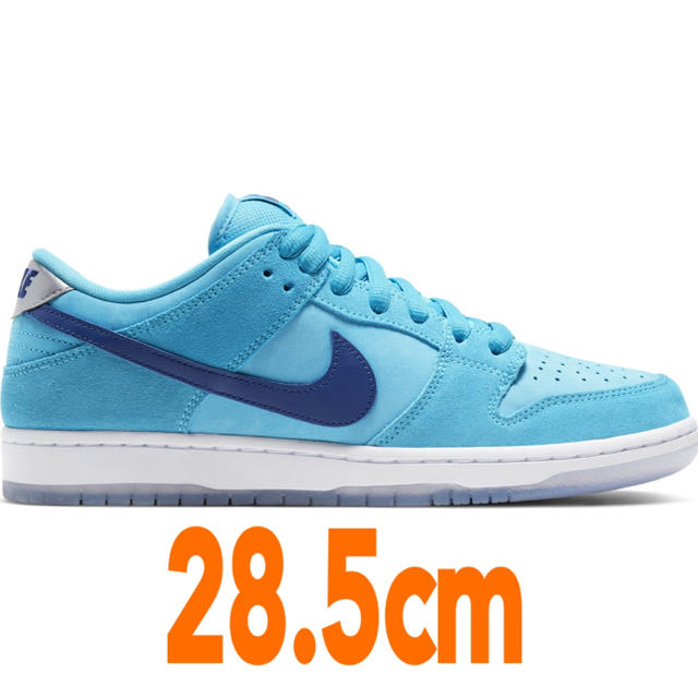 28.5cm NIKE SB DUNK LOW PRO Blue Fury