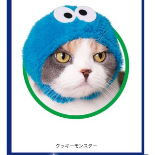 セサミストリート(SESAME STREET)の猫被り物　クッキーモンスター(猫)