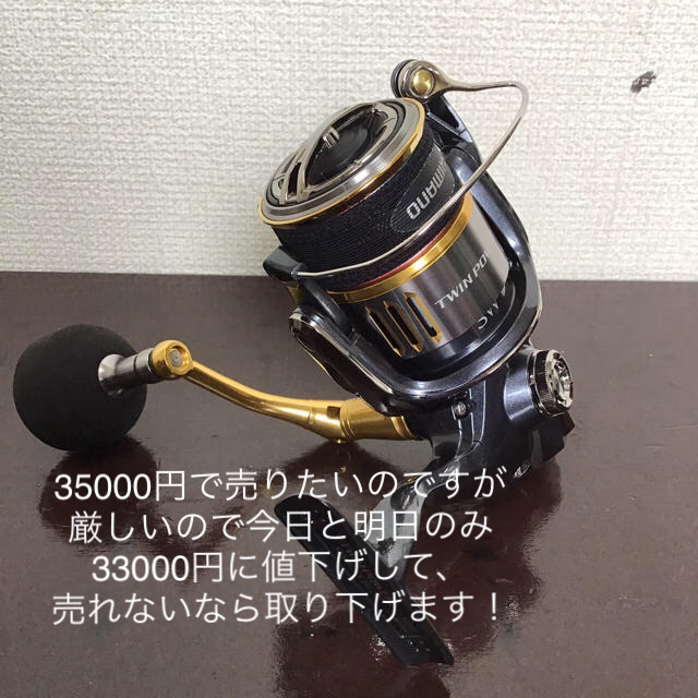 【今日と明日のみ値下げ】ツインパワーSW4000xg