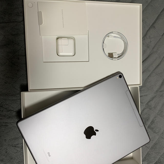 iPad Pro 256GB SGY Wi-Fi + Cellular 第二世代