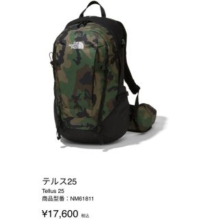 ザノースフェイス(THE NORTH FACE)のノースフェイス　テルス　25 バックパック(バッグパック/リュック)