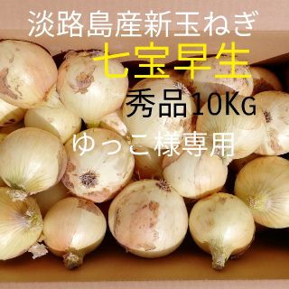 七宝　淡路島新玉ねぎ　10Kg　玉葱　たまねぎ(野菜)