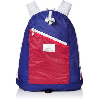 グレゴリー(Gregory)のGREGORY グレゴリー 携帯バックパック リュック デイパックLT 23L(登山用品)