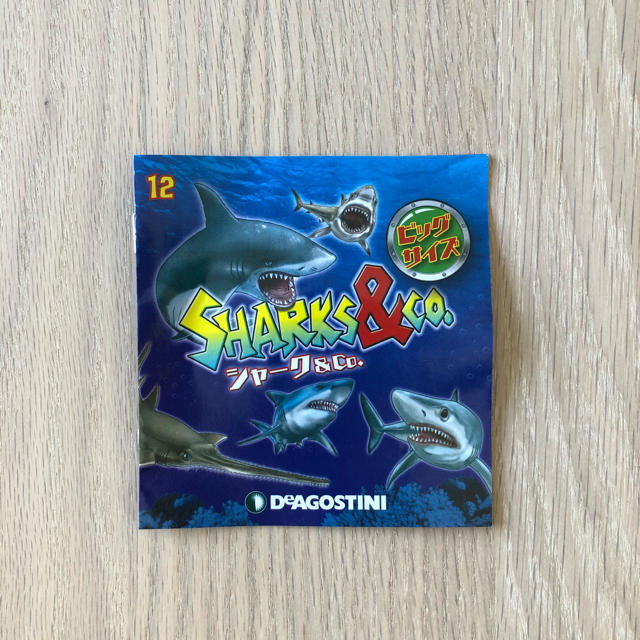 shark&co. 12 ヨゴレザメ エンタメ/ホビーのフィギュア(その他)の商品写真