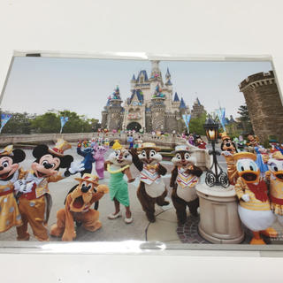 ディズニー(Disney)のディズニーランド公式 30周年 写真 大キャビネ版 ハピネスイズヒア(写真)