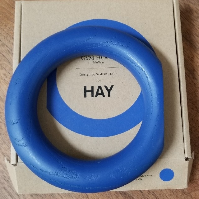 登場!HAY GYM HOOK ジムフックMサイズ その他 | isarastrology.org