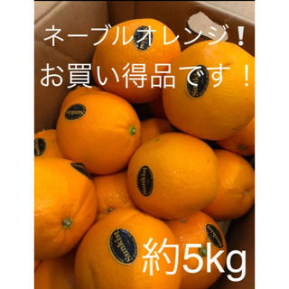 Sunkistネーブルオレンジ　約5kg(フルーツ)