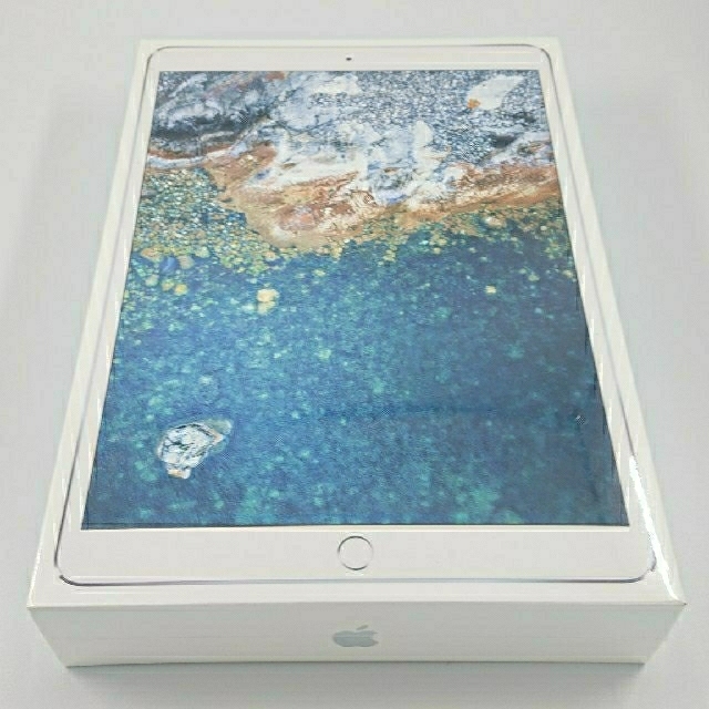帯電防止処理加工 iPad Pro(10.5)Cellular 64GB アクセサリー4点付き
