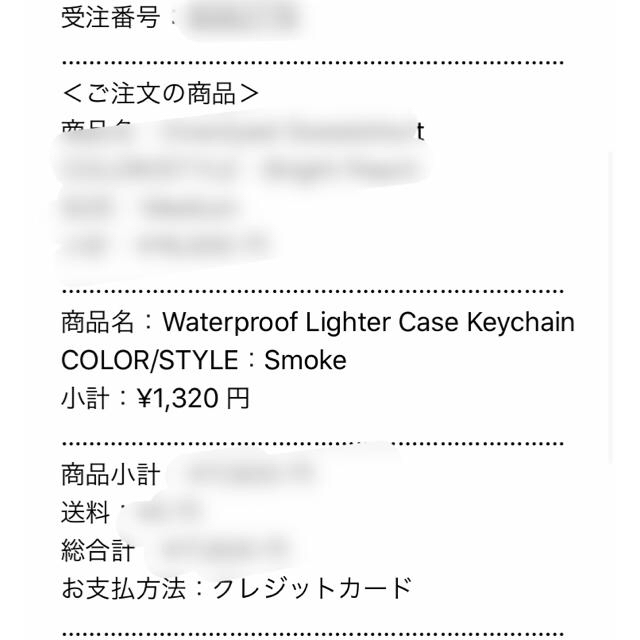 Supreme(シュプリーム)のsupreme Waterproof Lighter Case Keychain メンズのファッション小物(キーホルダー)の商品写真