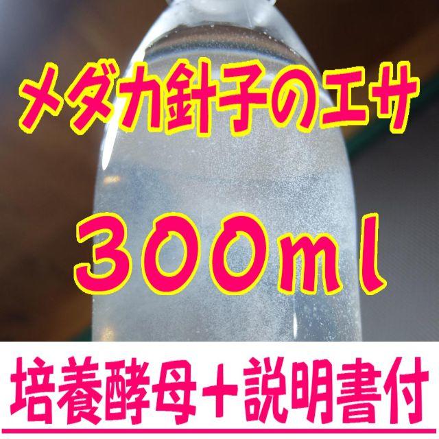 ３００ｍｌ メダカの針子のエサ ゾウリムシ種水の通販 by mura999's shop｜ラクマ