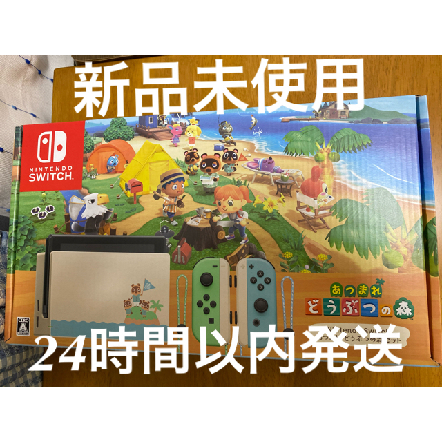 Nintendo Switch - ニンテンドースイッチ あつまれどうぶつの森セット