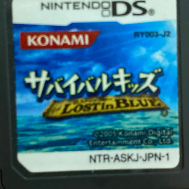 ニンテンドーDS(ニンテンドーDS)のサバイバルキッズ　LOST in BLUE エンタメ/ホビーのゲームソフト/ゲーム機本体(携帯用ゲームソフト)の商品写真