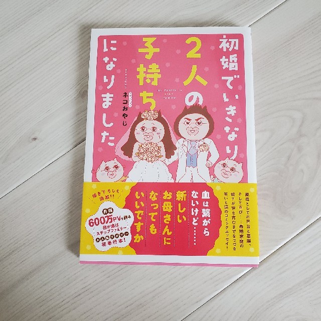 ネコおやじ　さん　書籍 エンタメ/ホビーの本(住まい/暮らし/子育て)の商品写真