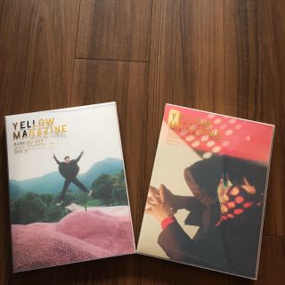 星野源YELLOW MAGAZINE 2冊(ミュージシャン)