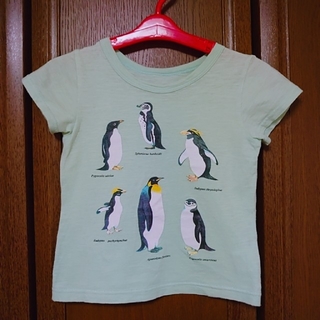 フェリシモ(FELISSIMO)のペンギン Tシャツ 半袖 100(Tシャツ/カットソー)