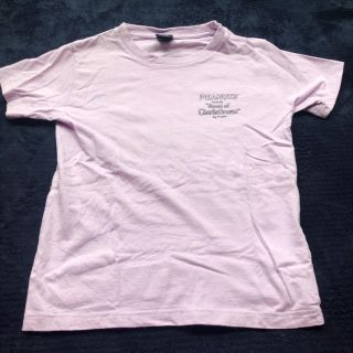 ステューシー(STUSSY)のQさま専用(Tシャツ/カットソー)