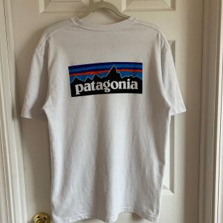 パタゴニア(patagonia)のパタゴニアtシャツ(Tシャツ/カットソー(半袖/袖なし))