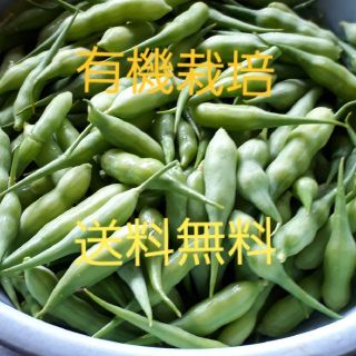 【送料無料】大根の房(ゆうパケット)(野菜)