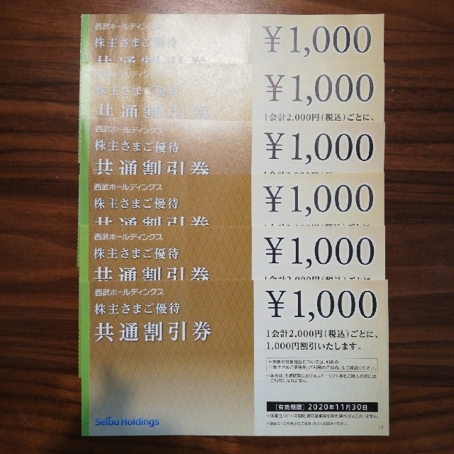 西武ホールディングス　共通割引券　6枚　西武HD