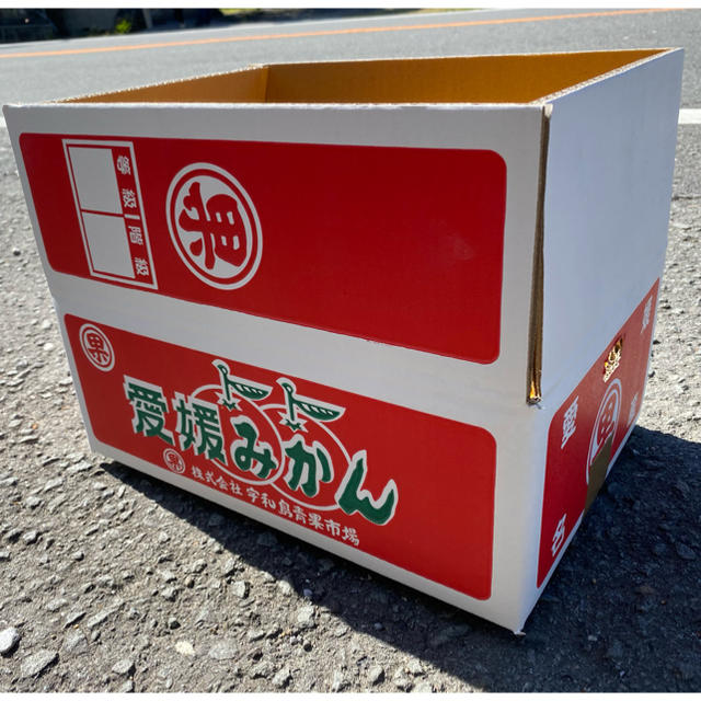 愛媛　最上級品　宇和ゴールド紅　3.5Kg   美生柑　河内晩柑 食品/飲料/酒の食品(フルーツ)の商品写真