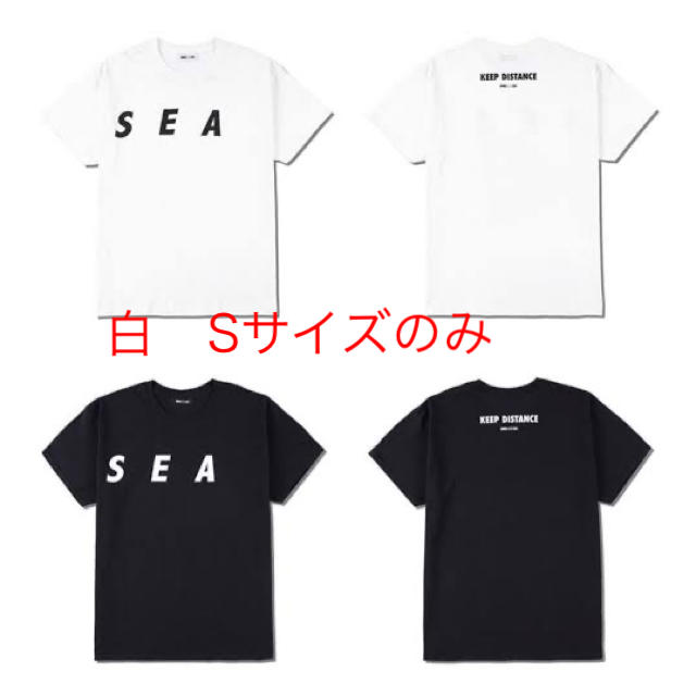 wind and sea 白