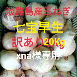 七宝●訳あり20Kg●淡路島　新玉ねぎ　玉葱　たまねぎ(野菜)