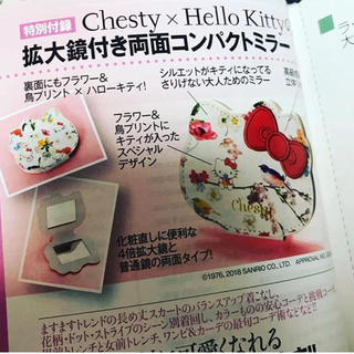 チェスティ(Chesty)のミラー(ミラー)