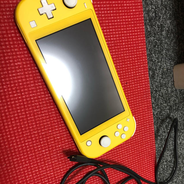 Nintendo Switch LITE 本体、充電器のみ