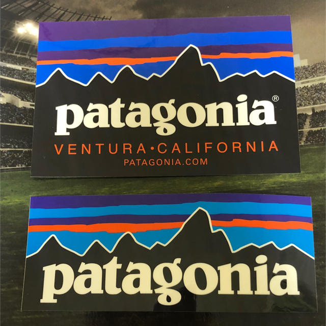 patagonia(パタゴニア)の専用 メンズのメンズ その他(その他)の商品写真