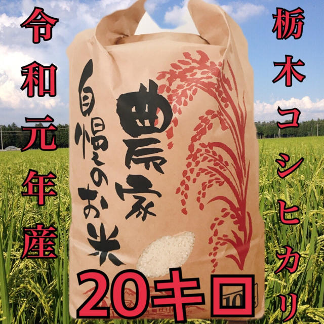 令和元年 栃木県産新米コシヒカリ20キロ - 米/穀物