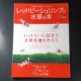 レッドビ－シュリンプと水草の本 赤白しましまボディは、緑の中でこそ映える！(住まい/暮らし/子育て)