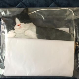 フェリシモ(FELISSIMO)のフェリシモ猫部　ウォールポケット　ハチワレ(日用品/生活雑貨)