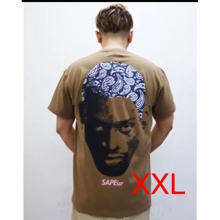 シュプリーム(Supreme)のSAPEur DOTman NavyPaisleyHead T ブラウン　XXL(Tシャツ/カットソー(半袖/袖なし))