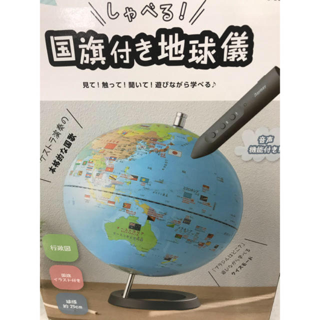 しゃべる地球儀 CYV3013 レイメイ藤井 国旗付き地球儀 クイズ