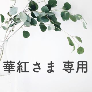 華紅様専用(その他)