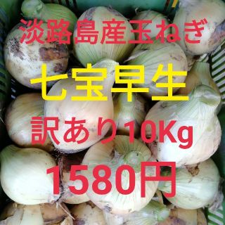 七宝★訳あり10Kg★淡路島　新玉ねぎ　玉葱　たまねぎ(野菜)