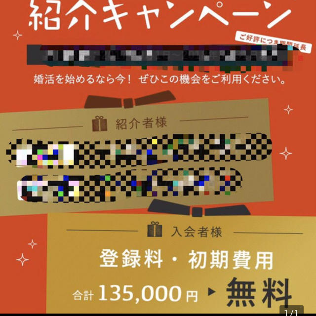 パートナーエージェント　190,300円 ⇒ 0円