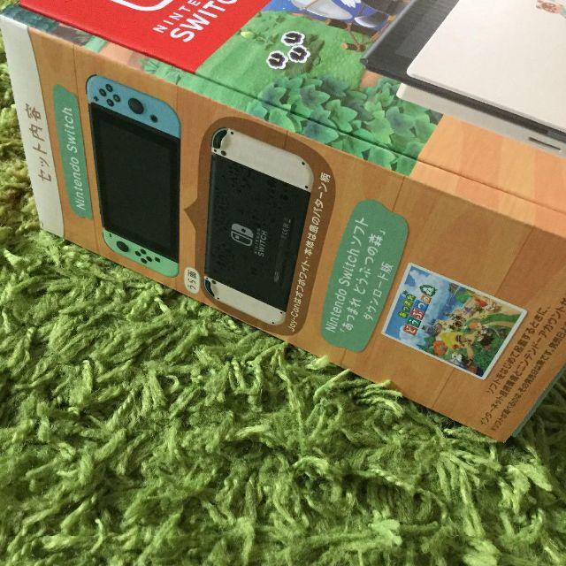 Nintendo Switch あつまれどうぶつの森セット