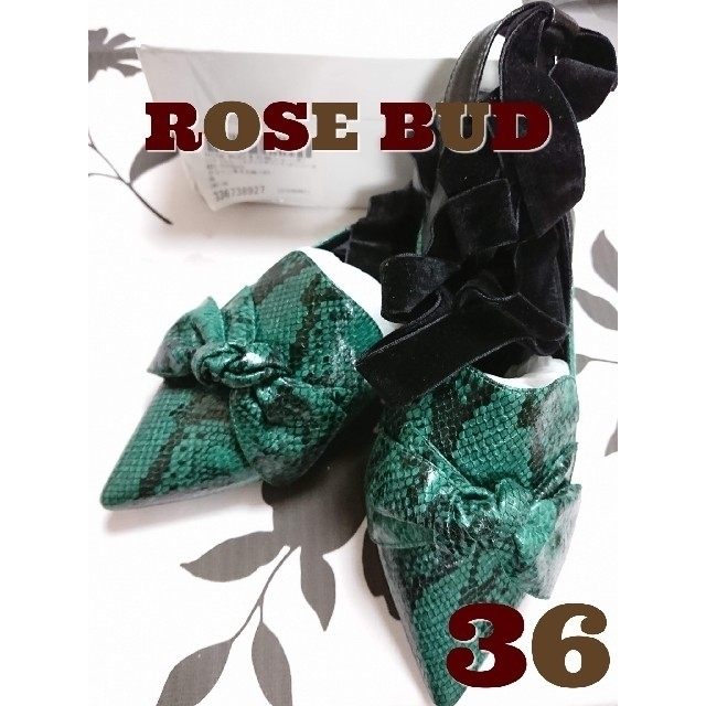 【36】ROSE BUD  レースアップポインテッドシューズ