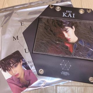 エクソ(EXO)のEXO カイ　KAI 公式グッズ(K-POP/アジア)