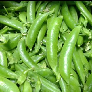 無農薬❗️ スナップエンドウ 約400g(野菜)