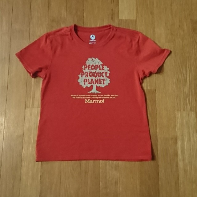 MARMOT(マーモット)のMarmot Tシャツ(レディースＭ) スポーツ/アウトドアのアウトドア(その他)の商品写真